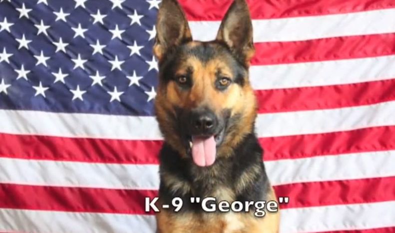 "George" named in memory of NYPD Police Officer George Wong.